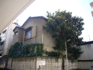 P1040559.JPG