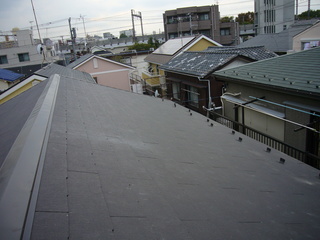 P1040593.JPG