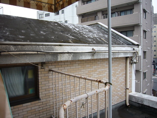 P1040836.JPG