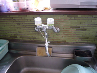 P1050334.JPG