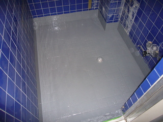 P1050584.JPG